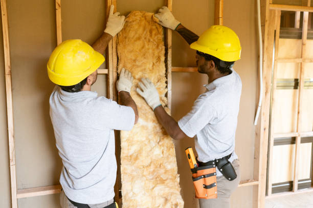 Garage Insulation Installation in Stanton, CA